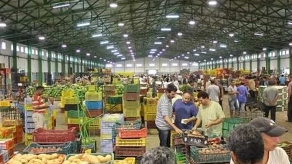 الطماطم ب17 والبطاطس ب26 جنيها.. تحرك بأسعار جميع أنواع الخضراوات اليوم بالأسواق ارتفعت أسعار الخضراوات اليوم الأربعاء 24-7-2024 في الأسواق على مستوى