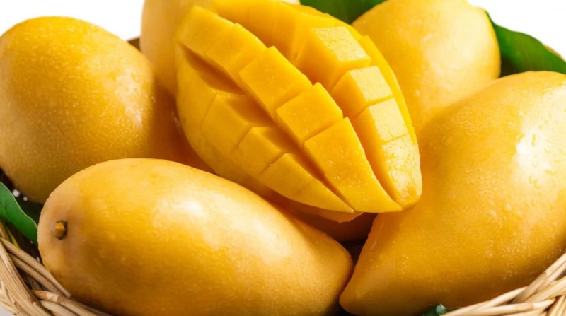 ما سبب انخفاض أسعار المانجو بالأسواق؟ كشف إبراهيم حداد، عضو شعبة الخضر والفاكهة بغرفة القاهرة التجارية، عن سبب انخفاض أسعار المانجو بالأسواق والتي