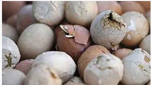 ما هو تفسير حلم البيض الفاسد لابن سيرين؟ ما هو تفسير حلم البيض الفاسد لابن سيرين؟ ، يبين علماء التفسير أن البيض الفاسد في الحلم من الأمور الصعبة على