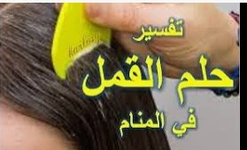 ما هو تفسير حلم القمل في الشعر للحامل لابن سيرين؟ تفسير حلم القمل في الشعر للحامل قد يكون دليلا على العديد من التأويلات المتعلقة بحياة الحالمة حسب ما ترويه من أحداث بالمنام، فقد تح