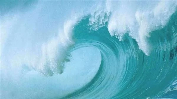 مركز المناخ يحذر من نزول البحر خلال تلك الفترة حذر الدكتور محمد علي فهيم، رئيس مركز معلومات المناخ، الصيادين والمصطافين من نشاط الرياح وارتفاع