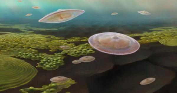 الحياة المعقدة على الأرض قد تكون أقدم بكثير مما نظن بانوراما شاهد المقال التالي من صحافة الأردن عن الحياة المعقدة على الأرض قد تكون أقدم بكثير مما