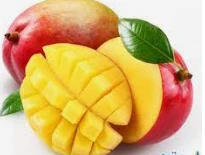 تعرف على تفسير حلم اكل المانجو لابن سيرين تفسير حلم اكل المانجو، المانجو من الفواكه الصيفية التي يحبها الجميع وهي تصنف من الموالح، وتتنوع أشكالها