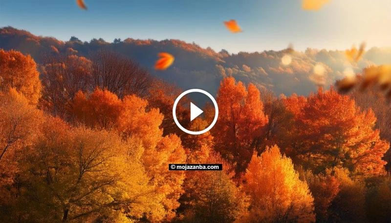 متى يبدأ فصل الخريف 2024؟ رحلة عبر أجواء وتأثيرات هذا الفصل مع اقتراب نهاية فصل الصيف، يبدأ الكثيرون بالتطلع إلى فصل الخريف، ذلك الفصل الساحر بألوانه