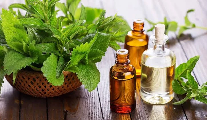 يعمل على سرعة إطالته.. تعرفى على أهم فوائد زيت الريحان للشعرالريحانيعد الريحان احدى النباتات العطرية الاستوائية، ويعتقد أن اطلق عليه اسم الريحان بسبب انه يساهم فى إراحة النفس، وايض