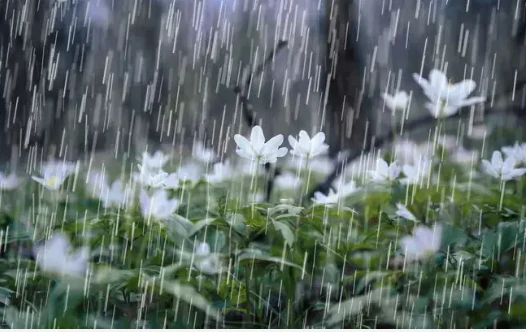 تعرف على تفسير حلم المطر الغزير في الليل لابن سيرين والمطر الغزير مع البرق والرعد تفسير حلم المطر الغزير في الليل من الرؤى ذات الدلالات المتعددة والتي تختلف باختلاف حالة الرائي وكذ