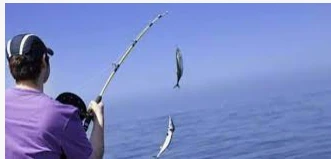 ما هو تفسير صيد السمك في المنام لابن سيرين والإمام الصادق؟ ما هو تفسير صيد السمك في المنام لابن سيرين والإمام الصادق؟ صيد السمك في المنام يحمل الكثير