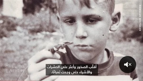 بسبب هوسه بها منذ الصغر.. رجل ينشئ جمعية لجمع سموم الأفاعي بمزرعته بالهندشاهديعرف رومولوس ويتاكر، بهوسه بالأفاعي منذ كان عمره 4 أعوام، وذلك عندما انتقل إلى الهند، والمعروف بأنها بل