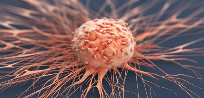 علاج خفي محتمل للسرطان..هذا ما اكتشفه الباحثون صحة شاهد المقال التالي من صحافة لبنان عن علاج خفي محتمل للسرطان هذا ما اكتشفه الباحثون، كشف باحثو مركز