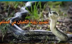 تفسير حلم الثعبان يلتف حول الجسم لابن سيرين تفسير حلم الثعبان يلتف حول الجسم قد يكون إشارة إلى العديد من المعاني المرتبطة بحياة الحالم حسب ما يراه من تفاصيل بالضبط في منامه، فقد ير