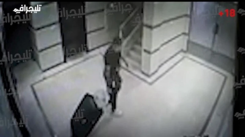 لماذا ترك سفاح التجمع جثة أميرة داخل حقيبة سفر 12 ساعة؟ أكثر من 60 يوما مضت على كشف أكبر قضايا الرأي العام، التي هزت الشارع المصري في عام 2024، حين