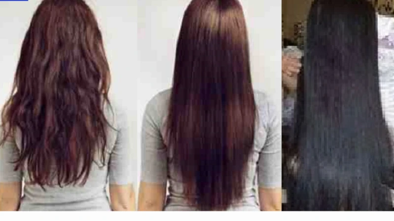 تطويل وتكثيف الشعر بوصفات اجدادنا الفراعنة الطبيعية يعد الشعر الطويل والصحي والناعم حلم كل امرأة وتلجأ غالبية النساء إلى منتجات العناية بالشعر باهظة الثمن لتحقيق هذا الحلم ولكن في