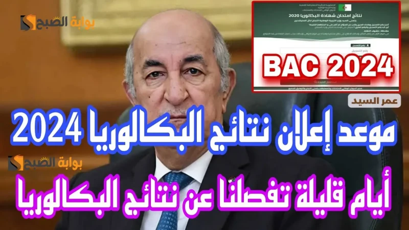 نتائج بكالوريا الجزائر كل الشعب 2024 .. لينك شهادة باك الثانوية الجزائرية الديوان الوطنيبعد معرفة موعد نتائج بكالوريا 2024 الجزائر العد التنازلي بدأ