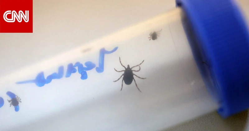 حذار لدغة القراد.. وفاة رجل بعد إصابته بمرض شبيه بالإيبولا في إسبانيا تكنولوجيا شاهد المقال التالي من صحافة الأفاق عربيةية عن حذار لدغة القراد وفاة