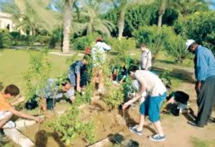 3 قرارات من محافظ القاهرة لتشجير محاور المحافظة كلف الدكتور مصطفى مدبولي، رئيس مجلس الوزراء بإصدار توجيه عام إلى المحافظين بمنع تحويل أي منطقة خضراء