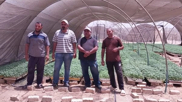 الزراعة: سرعة تقنين أوضاع مشاتل الخضر والاتجار فيهاتواصل وزارة الزراعة واستصلاح الأراضي، ممثلة في الإدارة المركزية للبساتين والمحاصيل الزراعية