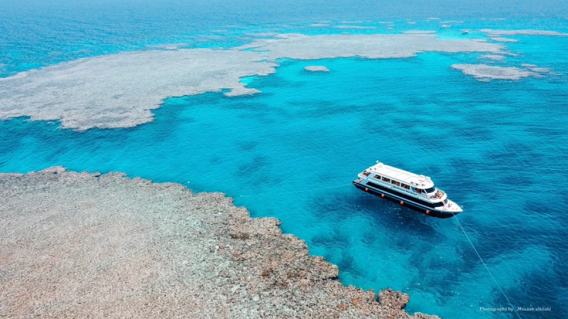 كشف حقيقة انحسار مياه البحر في بعض الشواطئ المصريةحقيقة انحسار مياه البحر ، فقد أفاد المركز الإعلامي لمجلس الوزراء بأنه في ضوء الشائعات التي انتشرت