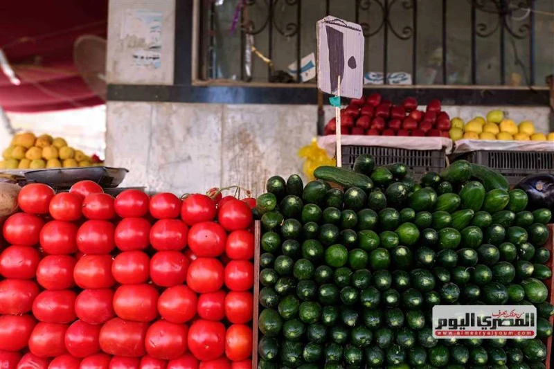 شعبة الخضروات: ارتفاع درجات الحرارة أتلف محصول الطماطم.. وأزمة البطاطس مستمرة 4 أشهر قال حاتم النجيب، نائب رئيس شعبة الخضراوات والفاكهة بالغرفة