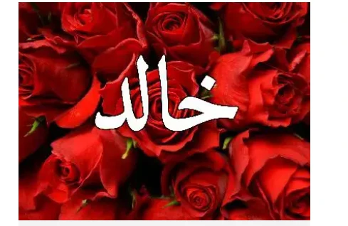 تعرف على تفسير اسم خالد في المنام اسم خالد في المنام، إن رؤية الأسماء من الرؤى التي ينخدع بها الكثيرين منا، نظرا للاعتقاد الشائع بسهولة تأويل الأسماء، وهذا خطأ وخلط كبير، فقد ذهب ا