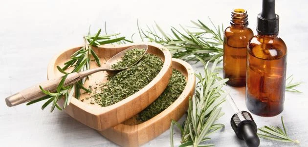 أضرار إكليل الجبل على الشعر.. وطرق استخدامه بشكل صحيح أضرار إكليل الجبل على الشعر.. وطرق استخدامه بشكل صحيح إكليل الجبل أو الروزماري أو ما يعرف بحصى البان، هي عشبة متعددة الفوائد.