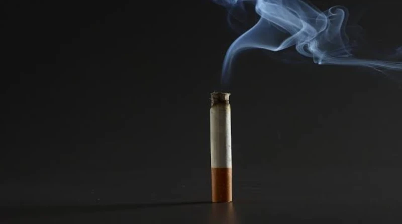 منها البرتقال والكيوي.. أطعمة تساعدك على الإقلاع عن التدخين قال رئيس قسم الحساسية والمناعة بهيئة المصل واللقاح الدكتور أمجد الحداد، إن هناك بعض