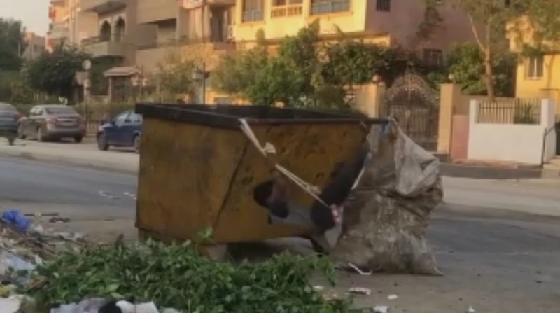 مرجيحة في صندوق قمامة.. يوسف يثير تعاطف السوشيال ميديا (فيديو) بعد شقاء يوم طويل في أجواء حارة وشمس حارقة، قرر الطفل يوسف صاحب ال 7 أعوام أن يأخذ
