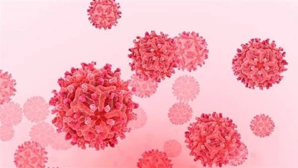 بعد شائعات انتشارها في مصر معلومات لا تعرفها عن حمى غرب النيلتداول مستخدمو مواقع التواصل الاجتماعي بعض الشائعات حول انتشار حمى غرب النيل في مصر، إلا أن وزارة الصحة نفت ما تم تداوله