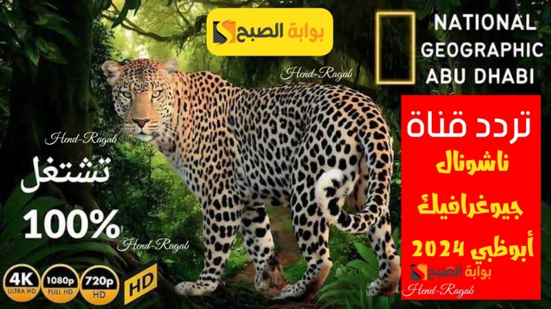 بجودة عالية.. تردد قناة ناشيونال جيوغرافيك 2024 على نايل وعرب سات.. أضبط الآنتعتبر قناة ناشيونال جيوغرافيك أبوظبي من أكثر القنوات الفضائية التي تحصد