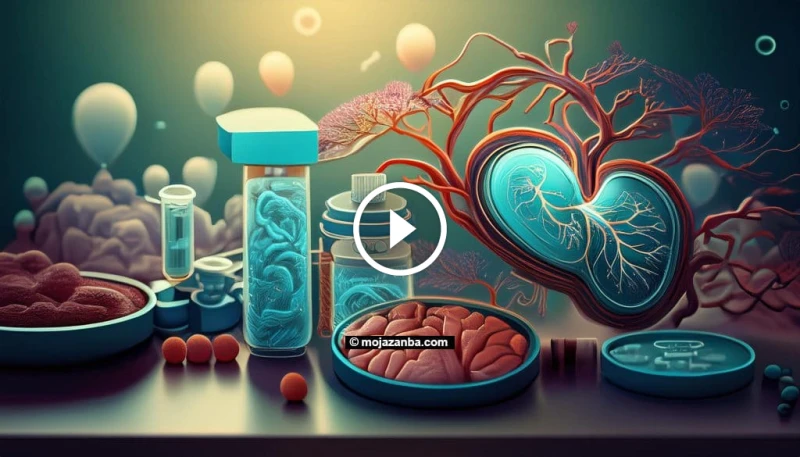 مرض السكري: تحد صحي عالمي.. الوقاية والعلاج وأحدث التطورات يعتبر مرض السكري من التحديات الصحية العالمية الكبرى، حيث يصيب الملايين من الأشخاص حول