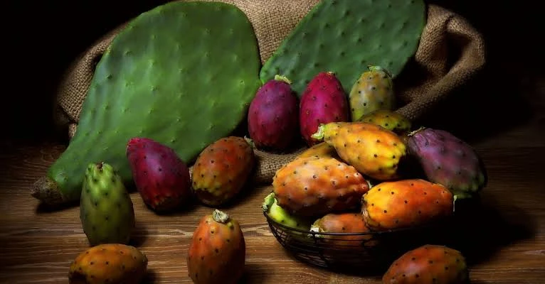 الفاكهة المستحبة فى الصيف فوائد مذهلة للتين الشوكى دائما ما يوصف التين الشوكى بأنه مشابه للبطيخ أو التوت، وهو عبارة عن فاكهة خفيفة على المعدة، يحب الناس تناولها في الصيف بسبب مذاقه