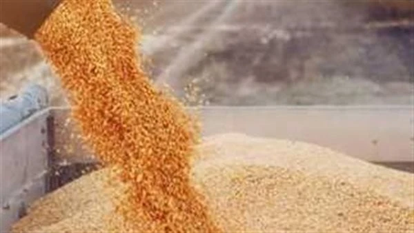 5 سلع جديرة بالمتابعة هذا الأسبوع وسط تراجع سعر الذرة ونقص الغاز عالميا يعكف المزارعون الأمريكيون على تخزين الذرة بأكبر قدر منذ عام 1988، فيما يراهن المستثمرون على استمرار ارتفاع أ