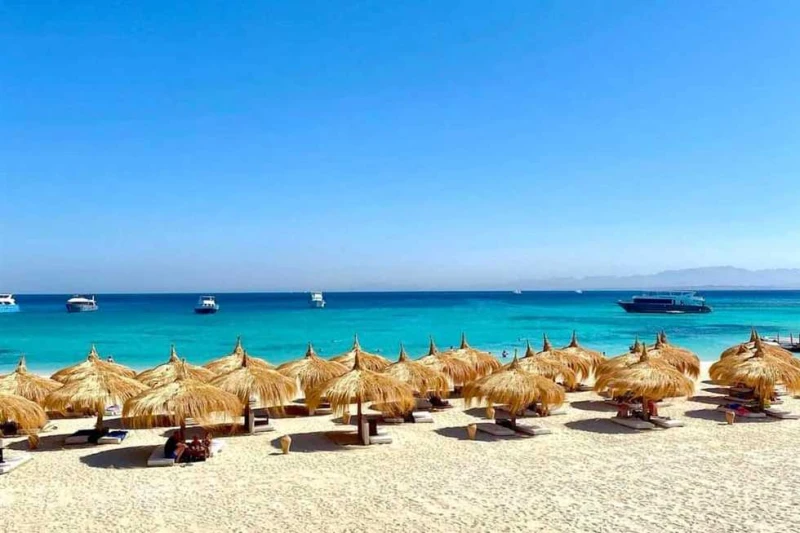 أول أغسطس.. الاتحاد العربي للشباب والبيئة ينظم ملتقى البيئة ال12 بمدينة الغردقة تستضيف مدينة الغردقة، ملتقى البيئة الساحلية ال12 لهذا العام والذي