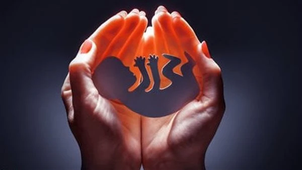 تنبيه مهم للنساء.. علامات مبكرة تكشف تعرضك للإجهاض تعرفي عليهايعد الإجهاض من أخطر المشكلات التي تتعرض لها المرأة الحامل ولا تقتصر خطورتها على تهديد حياة الجنين فقط بل والأم أيضا.وو