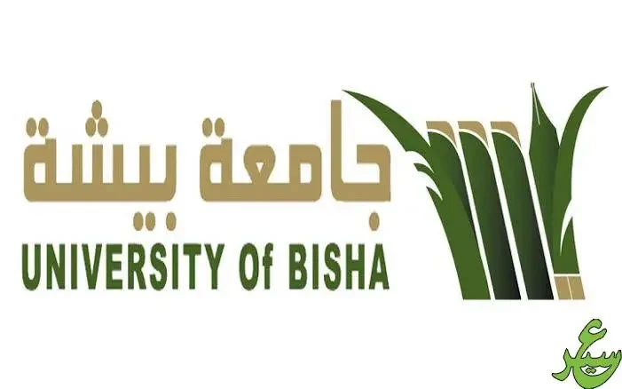 كم تكلفة الدراسة في جامعة بيشة السعودية 1446؟ تكلفة الدراسة في جامعة بيشة السعودية، التكلفة المادية التي يبحث عنها الأفراد الراغبين في دراسة إحدى تخصصات هذه الجامعة. ومن الجدير بال