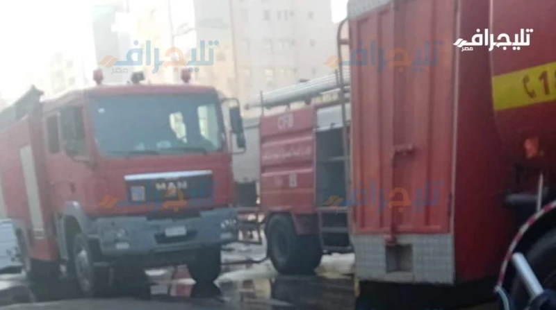 مواد شديدة الاشتعال تفاقم حريق النساجون الشرقيون بالمعادي (صور) تعمل قوات الحماية المدنية بالقاهرة جاهدة للسيطرة على حريق هائل نشب في معرض النساجون الشرقيون بمنطقة المعادي. وأشارت 