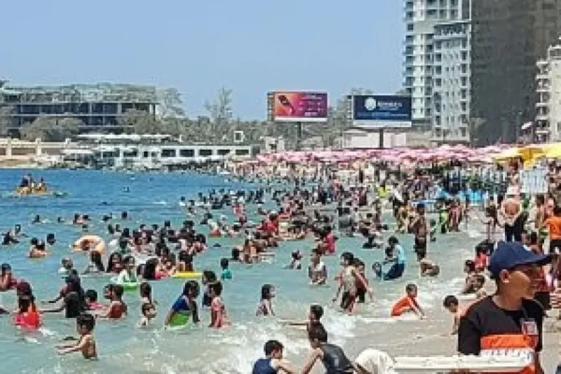 مصايف الإسكندرية: جميع الشواطئ مفتوحة ورفع الرايات الصفراء شرقا وغربامرحبا! لقد وصلني طلب قصير من فضلك، هل ترغب في إضافة أي محتوى إلى الصفحة؟ دعني أعرف إذا كنت بحاجة إلى مساعدة أخر