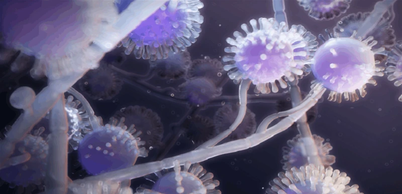 لسبب غير متوقع.. رجل يفقد 22 كغ من وزنه في وقت قياسي! صحة شاهد المقال التالي من صحافة لبنان عن لسبب غير متوقع رجل يفقد 22 كغ من وزنه في وقت قياسي!،