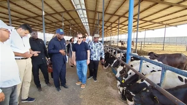 السفير الأنجولي: تعزيز التعاون مع مصر فى مجال تصدير الحاصلات الزراعية تفاصيل قال الدكتور سعد موسى، المشرف على العلاقات الزراعية الخارجية والحجر