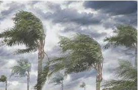 تعرف على تفسير الرياح في المنام لابن سيرين الرياح في المنام، لا شك أن رؤية الرياح تبعث في النفس نوع من الرهبة والقلق حيال الأوضاع المعيشية، فالرياح