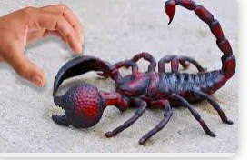 ابن سيرين لرؤية الخوف من العقرب في المنام خوف من العقرب في المنام، إن رؤية العقارب من الرؤى المكروهة التي لا يستحسنها الفقهاء في عالم الأحلام،