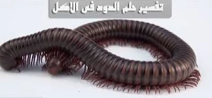 تفسير حلم خروج الدود من اليد اليمنى لابن سيرين تفسير حلم خروج الدود من اليد اليمنى بالنسبة للرائي قد يشير للعديد من التأويل المرتبطة بالحياة، وذلك