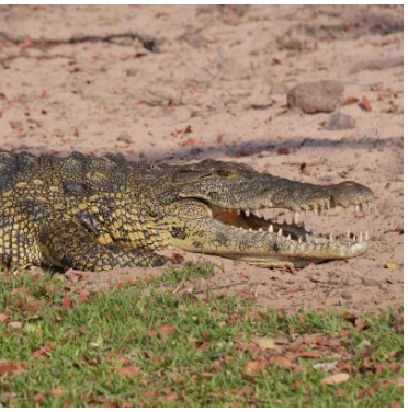 تعرف على تفسير حلم ضرب شخص أعرفه لابن سيرين و حلم ضرب شخص أعرفه باليد تفسير حلم ضرب شخص أعرفه، أحيانا تري ضرب إنسان معروف إليك في الحلم وقد تشهد وقوع