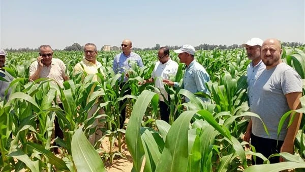 رئيس شئون المديريات بالزراعة: الحالة العامة للمحاصيل ممتازةتلقى علاء فارق وزير الزراعة واستصلاح الأراضي، تقريرا من الدكتور أنور عيسى رئيس الإدارة