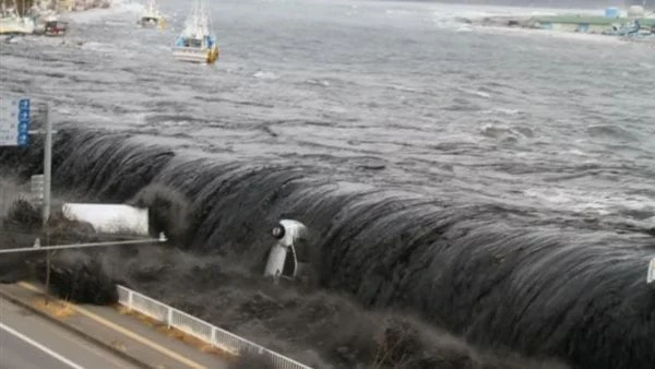 هل تتعرض شواطئ مصر ل تسونامي؟.. لجنة علوم البحار باليونسكو تجيبقال الدكتور عمرو حمودة، نائب رئيس اللجنة الدولية الحكومية لعلوم المحيطات ()اليونسكو