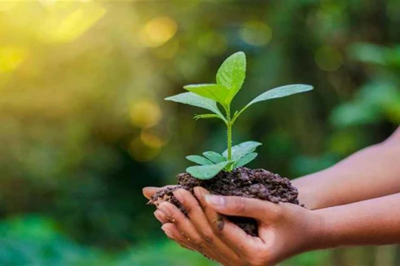 محافظ الإسكندرية يدعو للمشاركة في الدورة الثالثة بالمبادرة الوطنية للمشروعات الخضراء الذكية تستمر حتى سبتمبر المقبل.. محافظ الإسكندرية يدعو للمشاركة