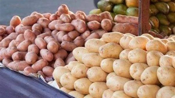 رقم غير مسبوق.. ارتفاع كبير في أسعار البطاطس اليوم بالأسواق شهدت أسعار البطاطس في الاسواق ارتفاعات كبيرة، حيث تراوح سعر البطاطس اليوم بين 12 و17
