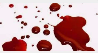 تعرف على تفسير حلم خروج الدم من الفرج للعذراء لابن سيرين و نزول الدم من الفرج بغزارة تفسير حلم خروج الدم من الفرج للعذراء، هل رؤية خروج الدم من الفرج