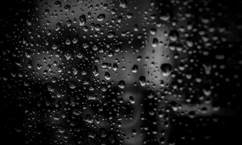 أجمل خلفيات سوداء فخمة 2025 بجودة عالية للجواللقد زادت البحث في الآونة الأخيرة على صورة خلفيات سوداء فخمة في الهاتف الجوال، والتي يقبل عليها بشكل خاص عشاق اللون الأسود ، فهو لون يع