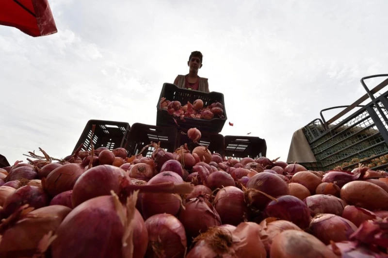 ازمة بصل في السعوديةبتاريخ الثلاثاء 06 فبراير 2024 في ظل تصاعد أزمة ارتفاع أسعار البصل بالمملكة العربية السعودية، أعرب مزارعون عن قلقهم إزاء التكلفة