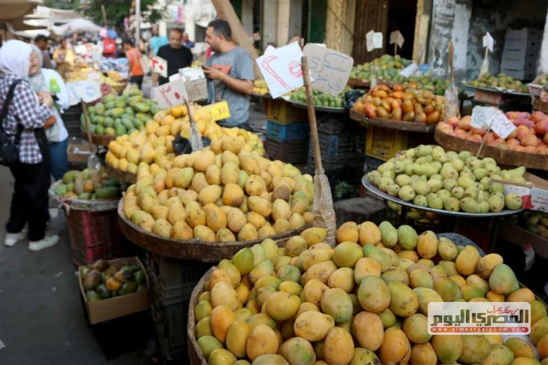 العنب ب35 جنيها.. أسعار الفاكهة في أسواق الإسكندرية اليوم الثلاثاء 27 أغسطس 2024 تشهد أسعار الفاكهة في أسواق الإسكندرية، ارتفاعا ملحوظا في معظم أصناف